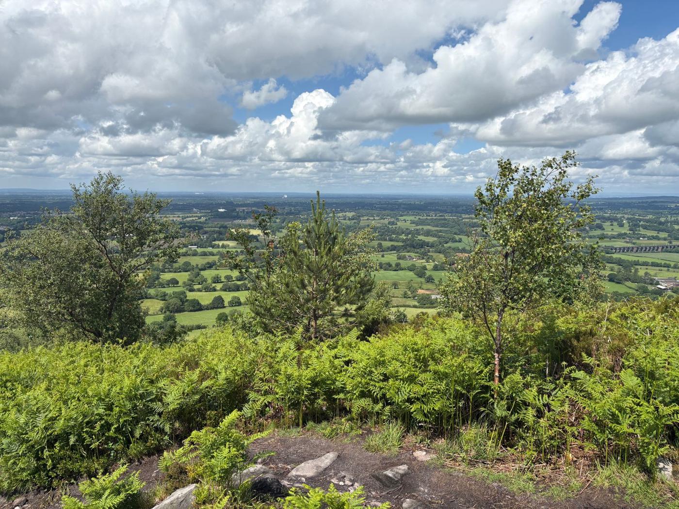Wide views over the Cheshire plain from Bickerton Hill