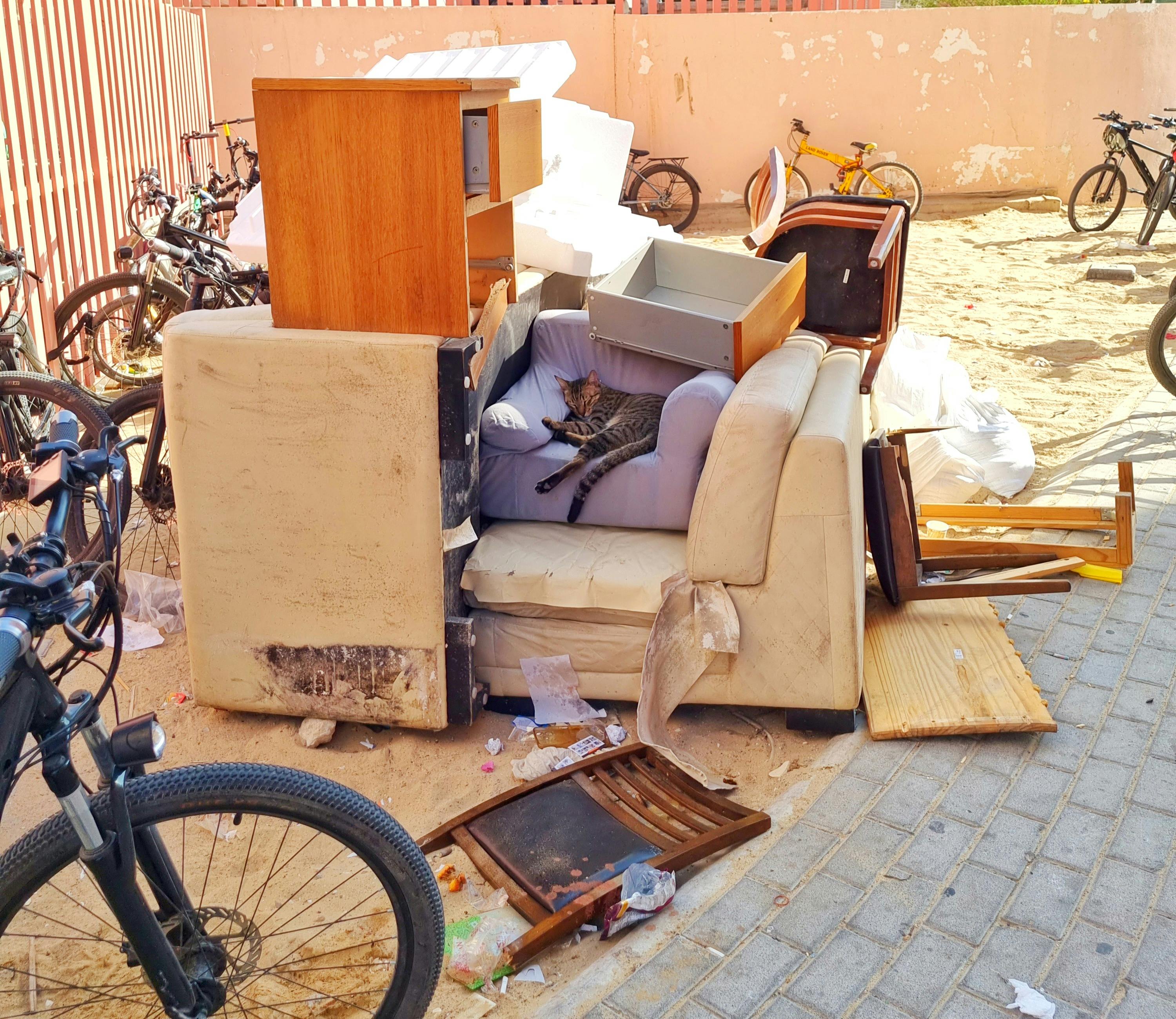 Responsible Waste Disposal & Furniture Restoration in Leeds | Ecoplus Logistics